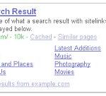 Google Sitelink Example Search Result