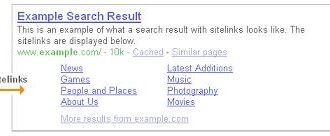 Google Sitelink Example Search Result