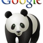 Google Panda