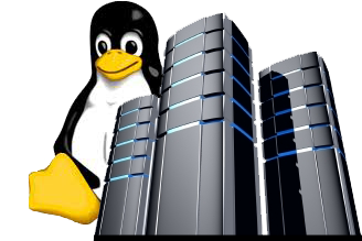 Linux Server