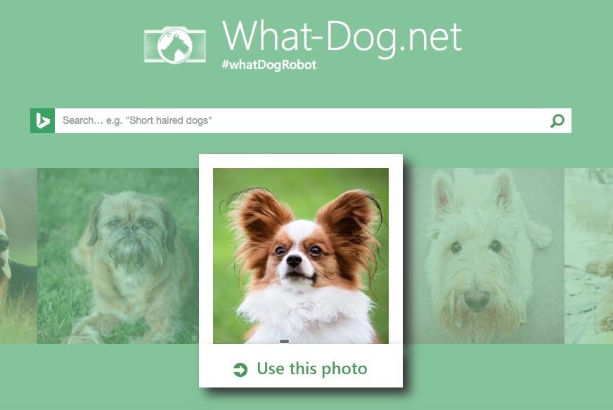 Microsoft matches human faces to dogs with What Dognet