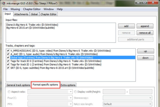 mkvmerge tutorial 2