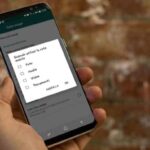 Come disattivare i download automatici su WhatsApp su Android
