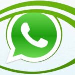 Come nascondere la foto profilo WhatsApp a tutti i contatti