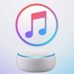 Collegare Apple Music ad Alexa